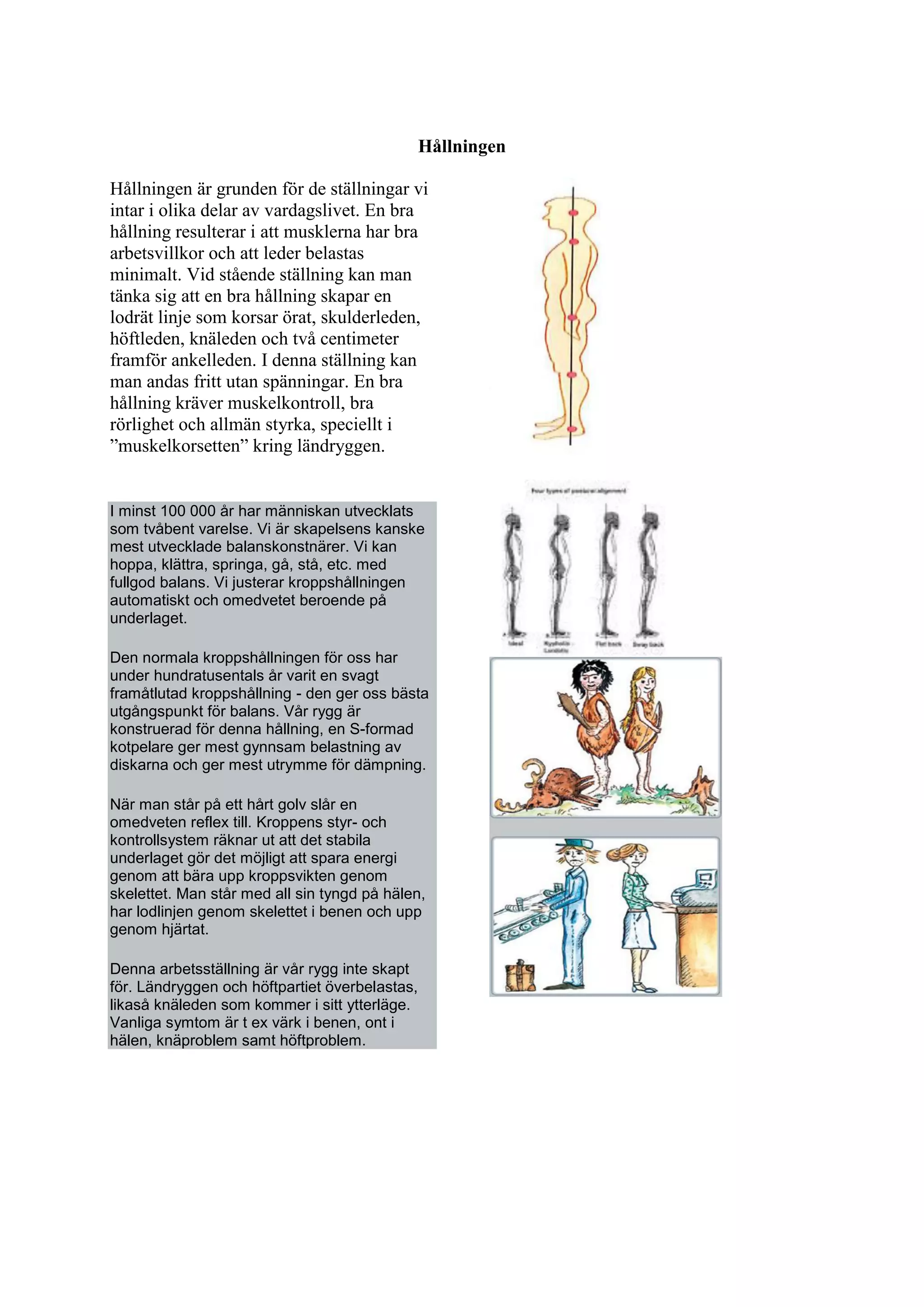 Hållningen
Hållningen är grunden för de ställningar vi
intar i olika delar av vardagslivet. En bra
hållning resulterar i att musklerna har bra
arbetsvillkor och att leder belastas
minimalt. Vid stående ställning kan man
tänka sig att en bra hållning skapar en
lodrät linje som korsar örat, skulderleden,
höftleden, knäleden och två centimeter
framför ankelleden. I denna ställning kan
man andas fritt utan spänningar. En bra
hållning kräver muskelkontroll, bra
rörlighet och allmän styrka, speciellt i
”muskelkorsetten” kring ländryggen.
I minst 100 000 år har människan utvecklats
som tvåbent varelse. Vi är skapelsens kanske
mest utvecklade balanskonstnärer. Vi kan
hoppa, klättra, springa, gå, stå, etc. med
fullgod balans. Vi justerar kroppshållningen
automatiskt och omedvetet beroende på
underlaget.
Den normala kroppshållningen för oss har
under hundratusentals år varit en svagt
framåtlutad kroppshållning - den ger oss bästa
utgångspunkt för balans. Vår rygg är
konstruerad för denna hållning, en S-formad
kotpelare ger mest gynnsam belastning av
diskarna och ger mest utrymme för dämpning.
När man står på ett hårt golv slår en
omedveten reflex till. Kroppens styr- och
kontrollsystem räknar ut att det stabila
underlaget gör det möjligt att spara energi
genom att bära upp kroppsvikten genom
skelettet. Man står med all sin tyngd på hälen,
har lodlinjen genom skelettet i benen och upp
genom hjärtat.
Denna arbetsställning är vår rygg inte skapt
för. Ländryggen och höftpartiet överbelastas,
likaså knäleden som kommer i sitt ytterläge.
Vanliga symtom är t ex värk i benen, ont i
hälen, knäproblem samt höftproblem.
 