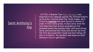 Saint Anthony's
fire
In 1722, A Russian Tzar Peter the Great was
thwarted in his campaign against the Ottoman Empire
as his army, traveling down the Terek steppe, were
struck by ergotism and were forced to retreat in
order to find edible grains. A diary entry from the
time describes that as soon as people ate the
poisoned bread they became dizzy, with such strong
nerve contractions that those who did not die from
the first day found their hands and feet falling off,
akin to frostbite. The epidemic was known as Saint
Anthony's fire or ignis sacer,
 
