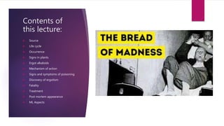 Contents of
this lecture:
 Source
 Life cycle
 Occurrence
 Signs in plants
 Ergot alkaloids
 Mechanism of action
 Signs and symptoms of poisoning
 Discovery of ergotism
 Fatality
 Treatment
 Post mortem appearance
 ML Aspects
 