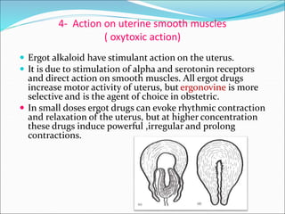 4- Action on uterine smooth muscles
( oxytoxic action)
 Ergot alkaloid have stimulant action on the uterus.
 It is due to stimulation of alpha and serotonin receptors
and direct action on smooth muscles. All ergot drugs
increase motor activity of uterus, but ergonovine is more
selective and is the agent of choice in obstetric.
 In small doses ergot drugs can evoke rhythmic contraction
and relaxation of the uterus, but at higher concentration
these drugs induce powerful ,irregular and prolong
contractions.
 