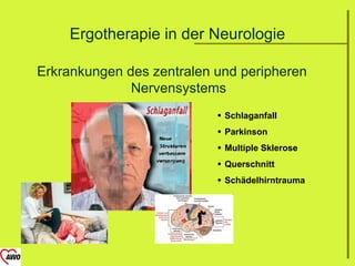 Ergotherapie in der Neurologie

Erkrankungen des zentralen und peripheren
              Nervensystems
                            Schlaganfall
                            Parkinson
                            Multiple Sklerose
                            Querschnitt
                            Schädelhirntrauma
 