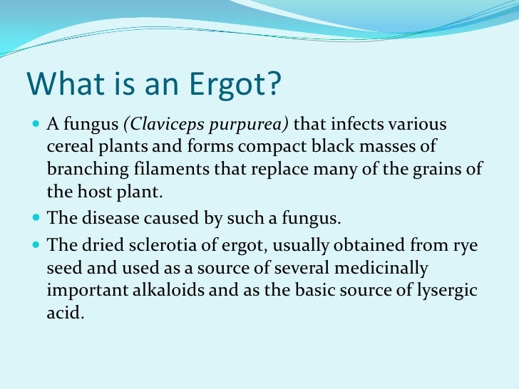 the diseases caused by ergot fungi worldwide the diseases caused by ergot fungi worldwide
