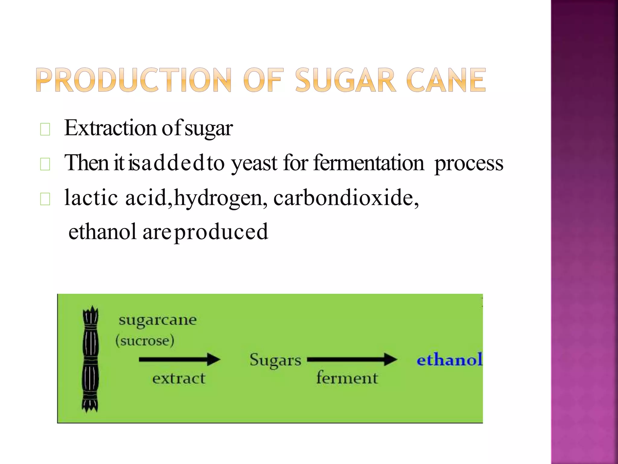 Extraction ofsugar
Thenitisaddedto yeast for fermentation process
lactic acid,hydrogen, carbondioxide,
ethanol areproduced
 