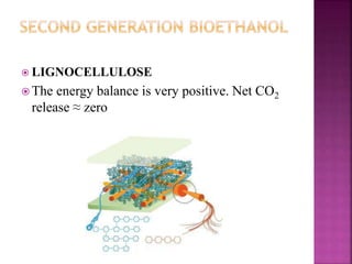  LIGNOCELLULOSE
 The energy balance is very positive. Net CO2
release ≈ zero
 