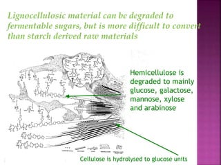 Cellulose is hydrolysed to glucose units
Hemicellulose is
degraded to mainly
glucose, galactose,
mannose, xylose
and arabinose
Lignocellulosic material can be degraded to
fermentable sugars, but is more difficult to convert
than starch derived raw materials
 