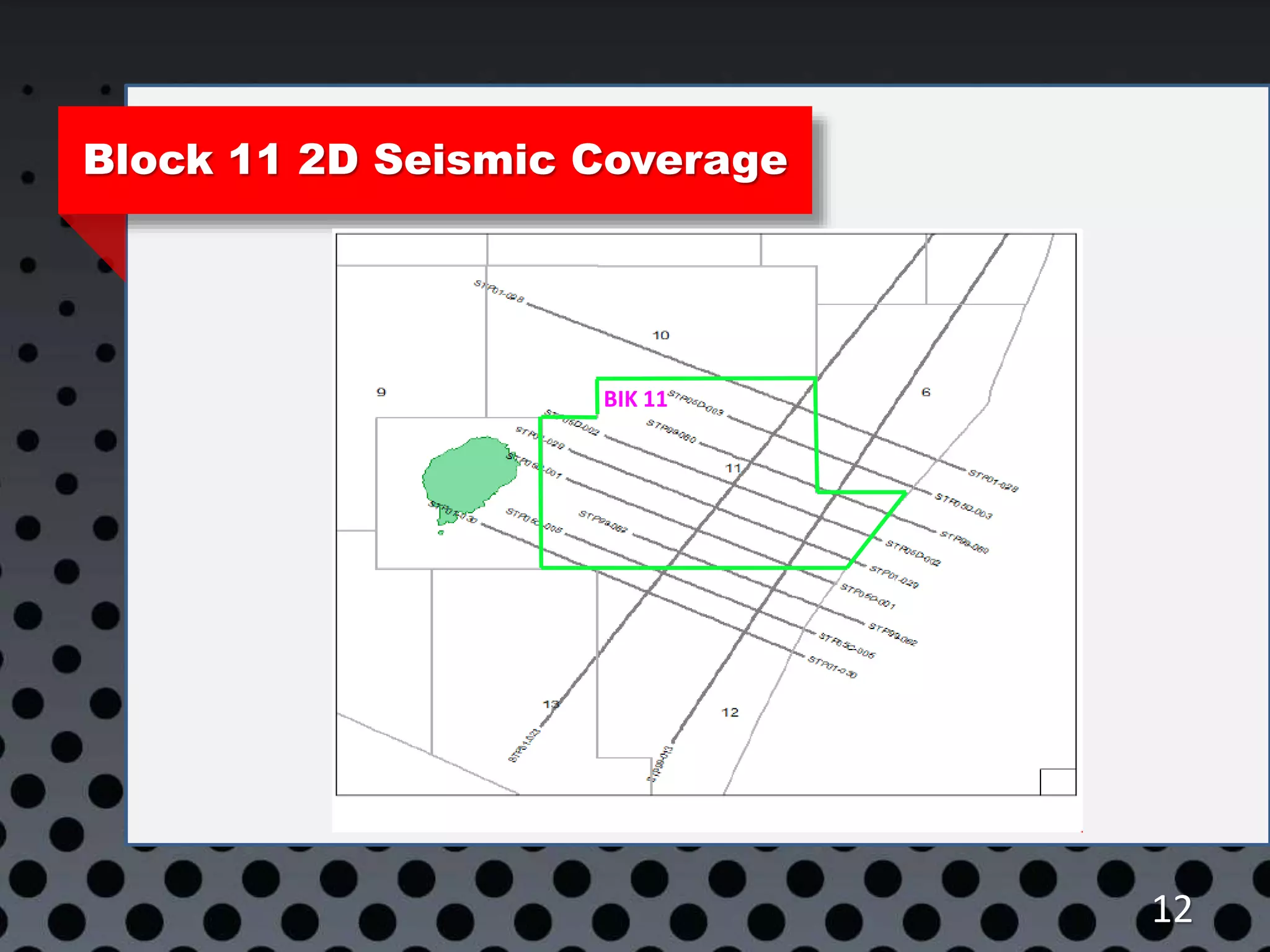 Block 11 2D Seismic Coverage
12
BIK 11
 