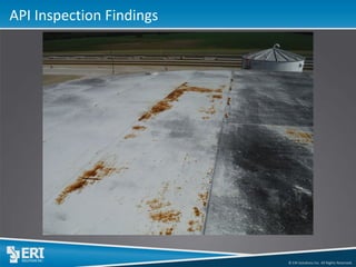 © ERI Solutions Inc. All Rights Reserved. 
API Inspection Findings  