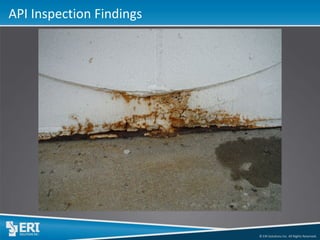 © ERI Solutions Inc. All Rights Reserved. 
API Inspection Findings  