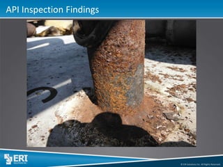 © ERI Solutions Inc. All Rights Reserved. 
API Inspection Findings  
