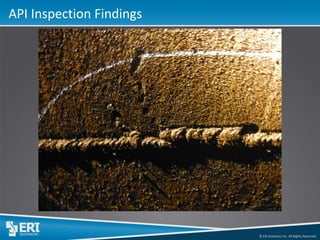 © ERI Solutions Inc. All Rights Reserved. 
API Inspection Findings  