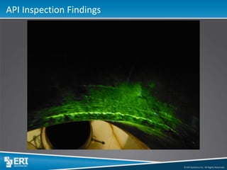 © ERI Solutions Inc. All Rights Reserved. 
API Inspection Findings  