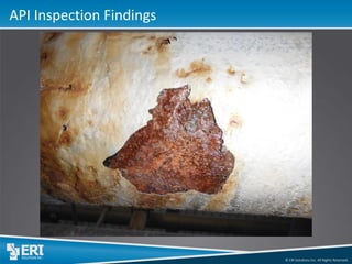 © ERI Solutions Inc. All Rights Reserved. 
API Inspection Findings  