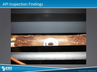 © ERI Solutions Inc. All Rights Reserved. 
API Inspection Findings  