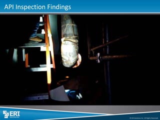 © ERI Solutions Inc. All Rights Reserved. 
API Inspection Findings  