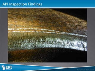 © ERI Solutions Inc. All Rights Reserved. 
API Inspection Findings  