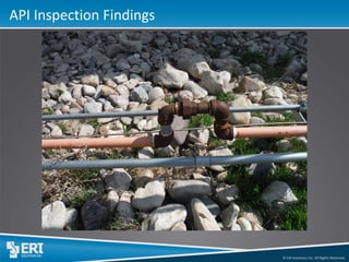 © ERI Solutions Inc. All Rights Reserved. 
API Inspection Findings  