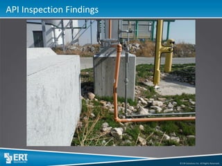 © ERI Solutions Inc. All Rights Reserved. 
API Inspection Findings  