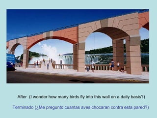 After  (I wonder how many birds fly into this wall on a daily basis?) Terminado (¿Me pregunto cuantas aves chocaran contra esta pared?)   