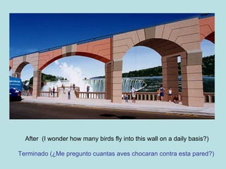 After  (I wonder how many birds fly into this wall on a daily basis?) Terminado (¿Me pregunto cuantas aves chocaran contra esta pared?)   