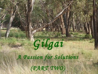 Gilgai A Passion for Solutions (PART TWO) 