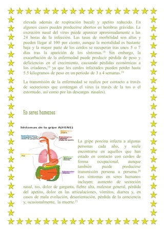 elevada además de respiración bucal) y apetito reducido. En
algunos casos pueden producirse abortos en hembras grávidas. La
excreción nasal del virus puede aparecer aproximadamente a las
24 horas de la infección. Las tasas de morbilidad son altas y
pueden llegar al 100 por ciento, aunque la mortalidad es bastante
baja y la mayor parte de los cerdos se recuperan tras unos 5 o 7
días tras la aparición de los síntomas.18 Sin embargo, la
exacerbación de la enfermedad puede producir pérdida de peso y
deficiencias en el crecimiento, causando pérdidas económicas a
los criadores,19 ya que los cerdos infectados pueden perder hasta
5.5 kilogramos de peso en un periodo de 3 a 4 semanas.19
La transmisión de la enfermedad se realiza por contacto a través
de secreciones que contengan el virus (a través de la tos o el
estornudo, así como por las descargas nasales).
En seres humanos
La gripe porcina infecta a algunas
personas cada año, y suele
encontrarse en aquellos que han
estado en contacto con cerdos de
forma ocupacional, aunque
también puede producirse
transmisión persona a persona.20
Los síntomas en seres humanos
incluyen: aumento de secreción
nasal, tos, dolor de garganta, fiebre alta, malestar general, pérdida
del apetito, dolor en las articulaciones, vómitos, diarrea y, en
casos de mala evolución, desorientación, pérdida de la conciencia
y, ocasionalmente, la muerte.21
 