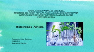 REPÚBLICA BOLIVARIANA DE VENEZUELA
MINISTERIO DEL PODER POPULAR PARA LA EDUCACIÓN UNIVERSITARIA
INSTITUTO UNIVERSITARIO POLITÉCNICO SANTIAGO MARIÑO
EXTENSIÓN MÉRIDA
Biotecnología Agrícola.
Estudiante: Érica Gutiérrez
25.438.516
Asignatura: Electiva I
 