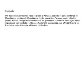 Introdução  Um dos ecossistemas mais ricos do Brasil, o Pantanal, estende-se pelos territórios do Mato-Grosso (região sul), Mato-Grosso do Sul (noroeste), Paraguai (norte) e Bolívia (leste). Ao todo são aproximadamente 228 mil quilômetros quadrados. Em função de sua importância e diversidade ecológica, o Pantanal é considerado pela UNESCO como um Patrimônio Natural Mundial e Reserva da Biosfera.  