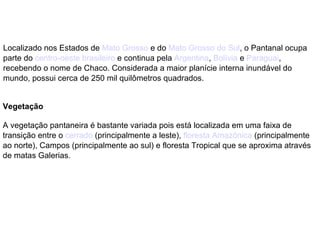 Localizado nos Estados de  Mato Grosso  e do  Mato Grosso do Sul , o Pantanal ocupa parte do  centro-oeste   brasileiro  e continua pela  Argentina ,  Bolívia  e  Paraguai , recebendo o nome de Chaco. Considerada a maior planície interna inundável do mundo, possui cerca de 250 mil quilômetros quadrados. Vegetação A vegetação pantaneira é bastante variada pois está localizada em uma faixa de transição entre o  cerrado  (principalmente a leste),  floresta Amazônica  (principalmente ao norte), Campos (principalmente ao sul) e floresta Tropical que se aproxima através de matas Galerias. 