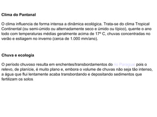 Clima do Pantanal O clima influencia de forma intensa a dinâmica ecológica. Trata-se do clima Tropical Continental (ou semi-úmido ou alternadamente seco e úmido ou típico), quente o ano todo com temperaturas médias geralmente acima de 17º C, chuvas concentradas no verão e estiagem no inverno (cerca de 1.000 mm/ano). Chuva e ecologia O período chuvoso resulta em enchentes/transbordamentos do  rio Paraguai  pois o relevo, de planície, é muito plano e, embora o volume de chuvas não seja tão intenso, a água que flui lentamente acaba transbordando e depositando sedimentos que fertilizam os solos . 