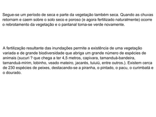Segue-se um período de seca e parte da vegetação também seca. Quando as chuvas retornam e caem sobre o solo seco e poroso (e agora fertilizado naturalmente) ocorre o rebrotamento da vegetação e o pantanal torna-se verde novamente. A fertilização resultante das inundações permite a existência de uma vegetação variada e de grande biodiversidade que abriga um grande número de espécies de animais (sucuri ? que chega a ter 4,5 metros, capivara, tamanduá-bandeira, tamanduá-mirim, lobinho, veado mateiro, jacarés, tuiuiú, entre outros.). Existem cerca de 230 espécies de peixes, destacando-se a piranha, o pintado, o pacu, o curimbatá e o dourado. 