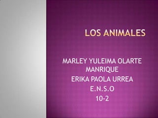 MARLEY YULEIMA OLARTE
MANRIQUE
ERIKA PAOLA URREA
E.N.S.O
10-2

 