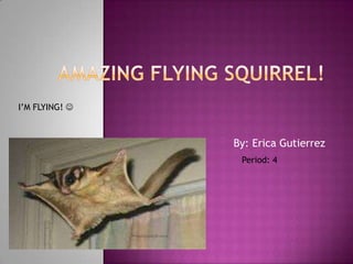 I’M FLYING! 



                By: Erica Gutierrez
                 Period: 4
 
