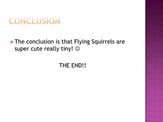  Theconclusion is that Flying Squirrels are
 super cute really tiny! 

                  THE END!!
 