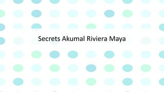 Secrets Akumal Riviera Maya
 