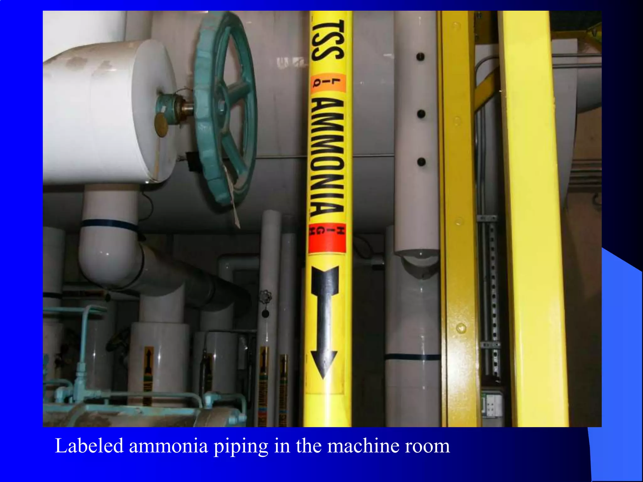 Labeled ammonia piping in the machine room
 