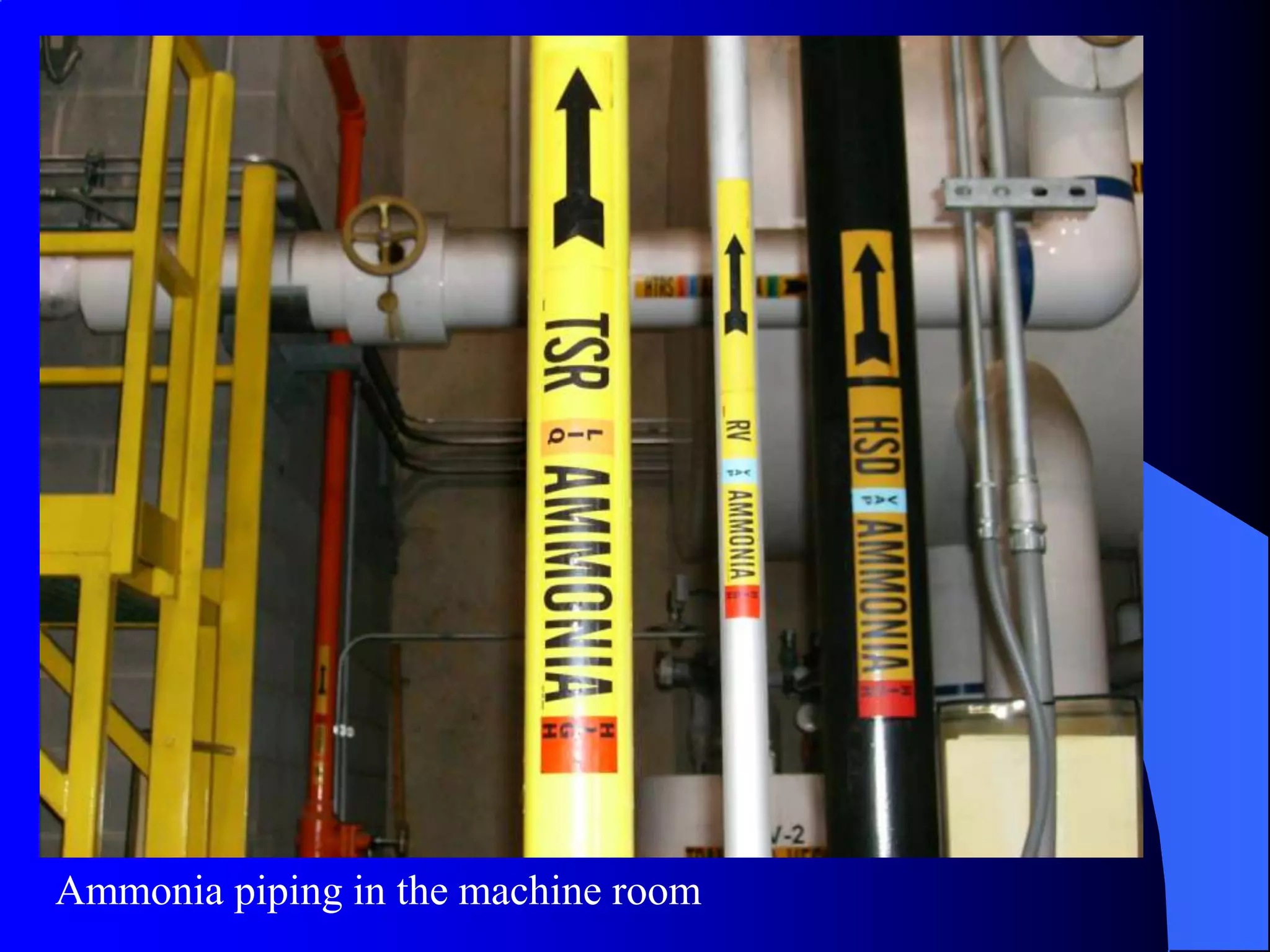 Ammonia piping in the machine room
 