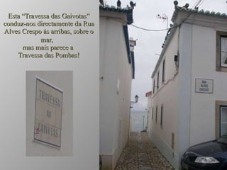 Esta “Travessa das Gaivotas” conduz-nos directamente da Rua Alves Crespo às arribas, sobre o mar,  mas mais parece a  Travessa das Pombas! 