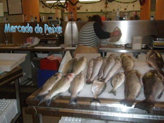 Mercado do Peixe 