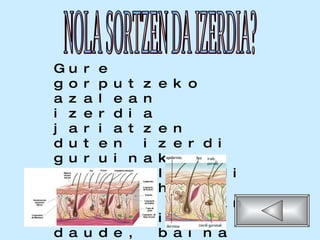 Gure gorputzeko azalean izerdia jariatzen duten izerdi guruinak daude. Izerdi guruin hauek gorputz osoan banaturik daude, baina gune batzuetan azkoz ugariagoak dira, esku, besape eta oinazpietan esatebaterako. NOLA SORTZEN DA IZERDIA? 