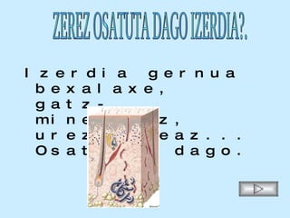 Izerdia gernua bexalaxe, gatz-mineralez, urez, ureaz... Osaturik dago. ZEREZ OSATUTA DAGO IZERDIA?. 