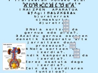 IRAIZPEN  APARATUA  ETA  IRAIZKETA 1- Iraizketan honako atal hauek hartzen dute parte: a) giltzurrunak b)ureterrak c)maskuria d)uretra 2-Nola sortzen da gernua edo pixa?. 3-Azaldu gernua osatzen denetik kanporatu arte jarraitzen duen prozezua?. 4-Nola sortzen da izerdia?. 5-Nondik kanporatzen da izerdia?. 6-Zerez osatuta dago izerdia?. 7-Zein da izerdiaren funtzioa?. AURKIBIDEA 