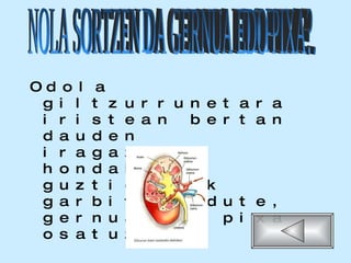 Odola giltzurrunetara iristean bertan dauden iragazkiek hondakin guztietatik garbitzen dute, gernua edo pixa osatuz. NOLA SORTZEN DA GERNUA EDO PIXA?. 
