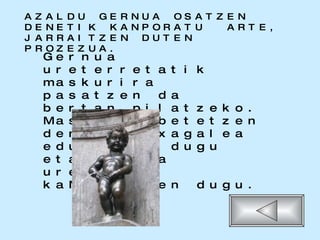 AZALDU GERNUA OSATZEN DENETIK KANPORATU  ARTE, JARRAITZEN DUTEN PROZEZUA.   Gernua ureterretatik maskurira pasatzen da bertan pilatzeko. Maskuria betetzen denean pixagalea edukitzen dugu eta gernua uretratik kaNporatzen dugu. 