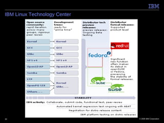 IBM Linux Technology Center




30                            © 2009 IBM Corporation
 