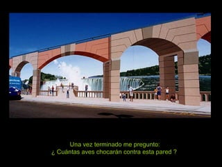 Una vez terminado me pregunto: ¿ Cuántas aves chocarán contra esta pared ?