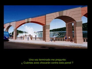 Una vez terminado me pregunto: ¿ Cuántas aves chocarán contra esta pared ?   