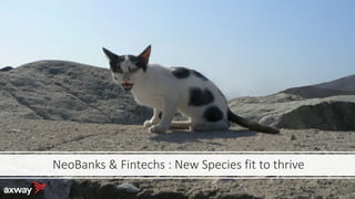 NeoBanks & Fintechs : New Species fit to thrive
 