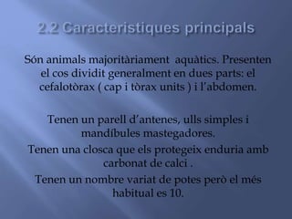 Són animals majoritàriament aquàtics. Presenten
el cos dividit generalment en dues parts: el
cefalotòrax ( cap i tòrax units ) i l’abdomen.
Tenen un parell d’antenes, ulls simples i
mandíbules mastegadores.
Tenen una closca que els protegeix enduria amb
carbonat de calci .
Tenen un nombre variat de potes però el més
habitual es 10.
 