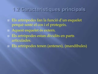  Els artròpodes fan la funció d’un esquelet
perquè sosté el cos i el protegeix.
 Aquest esquelet és extern.
 Els artròpodes estan dividits en parts
articulades.
 Els artròpodes tenen (antenes), (mandíbules)
 