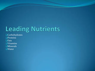 Carbohydrates
Proteins
Fats
Vitamins
Minerals
Water